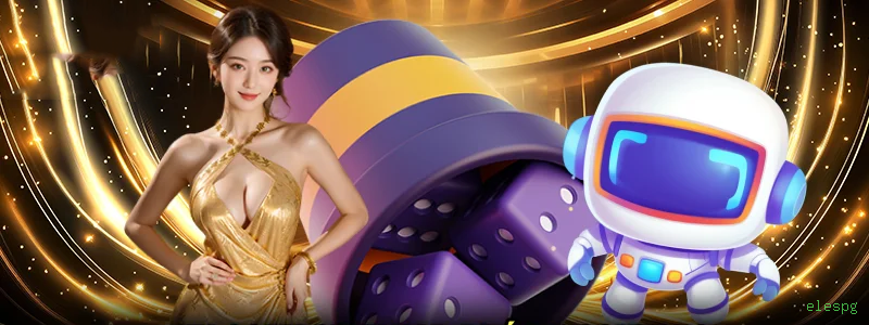 VIP Rewards System